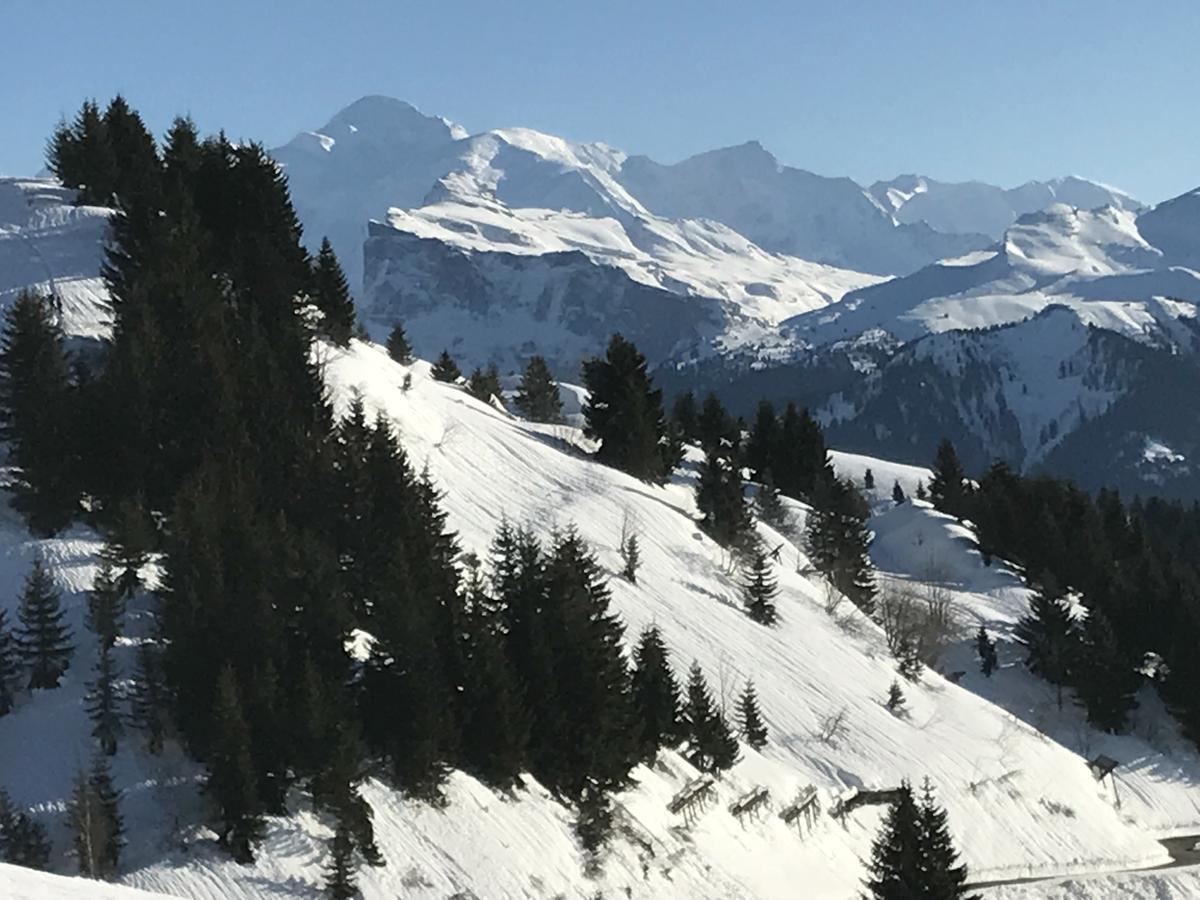 Samoëns Residence Les Chardons Argentes 2 מראה חיצוני תמונה