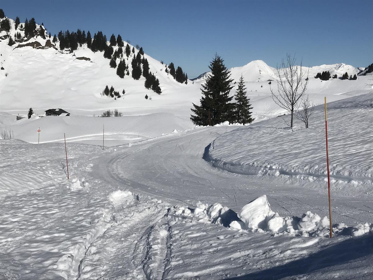 Samoëns Residence Les Chardons Argentes 2 מראה חיצוני תמונה